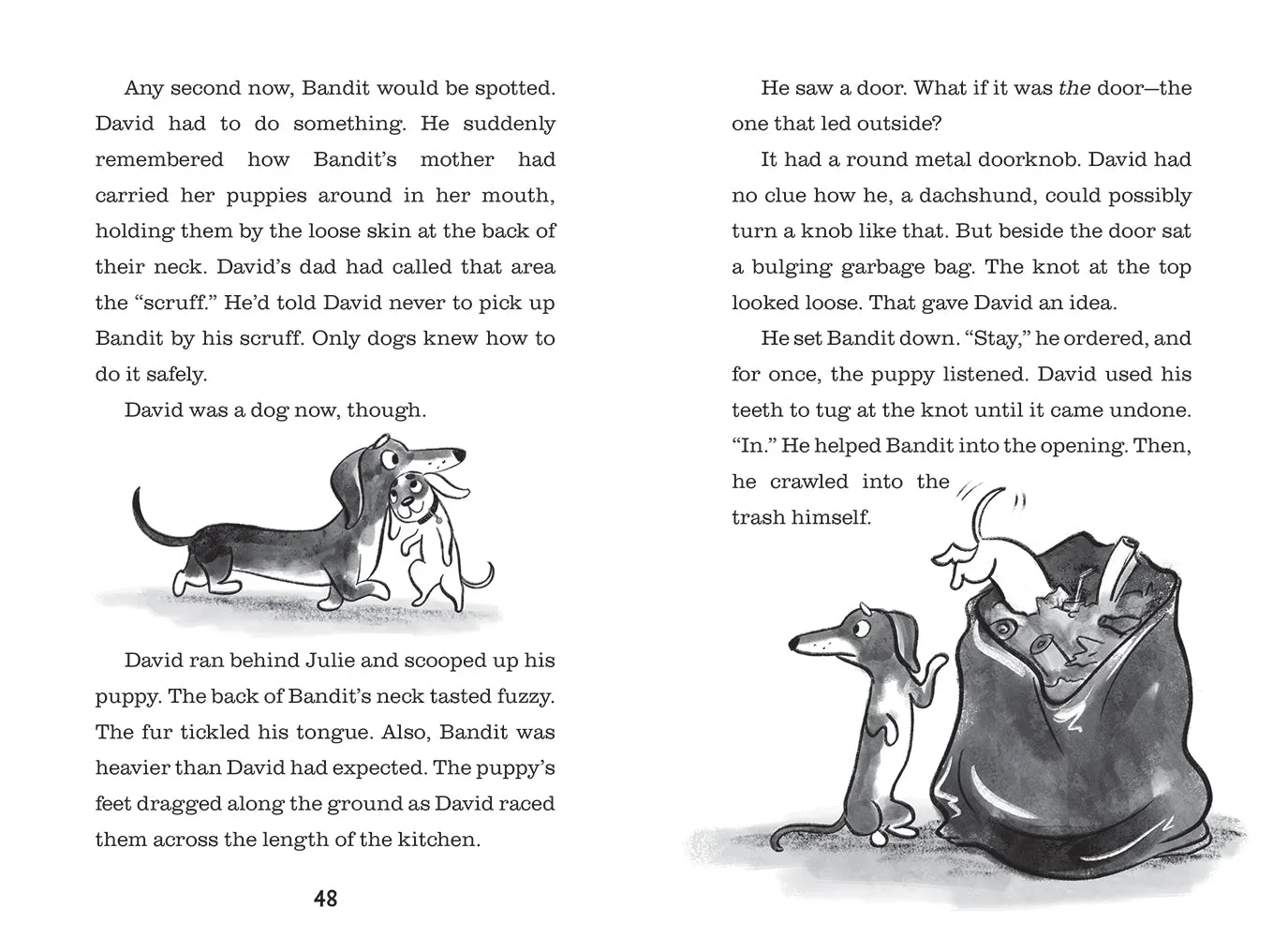 Abrams and Chronicle Class Critters David Dixon's Day as a Dachshund 2 pocket