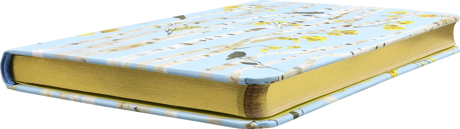 Peter Pauper Press Birch Woods notatbok liten linjert