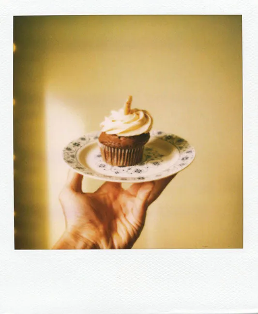 Abrams and Chronicle Polaroid Notes notatkort 20 stk konvolutt