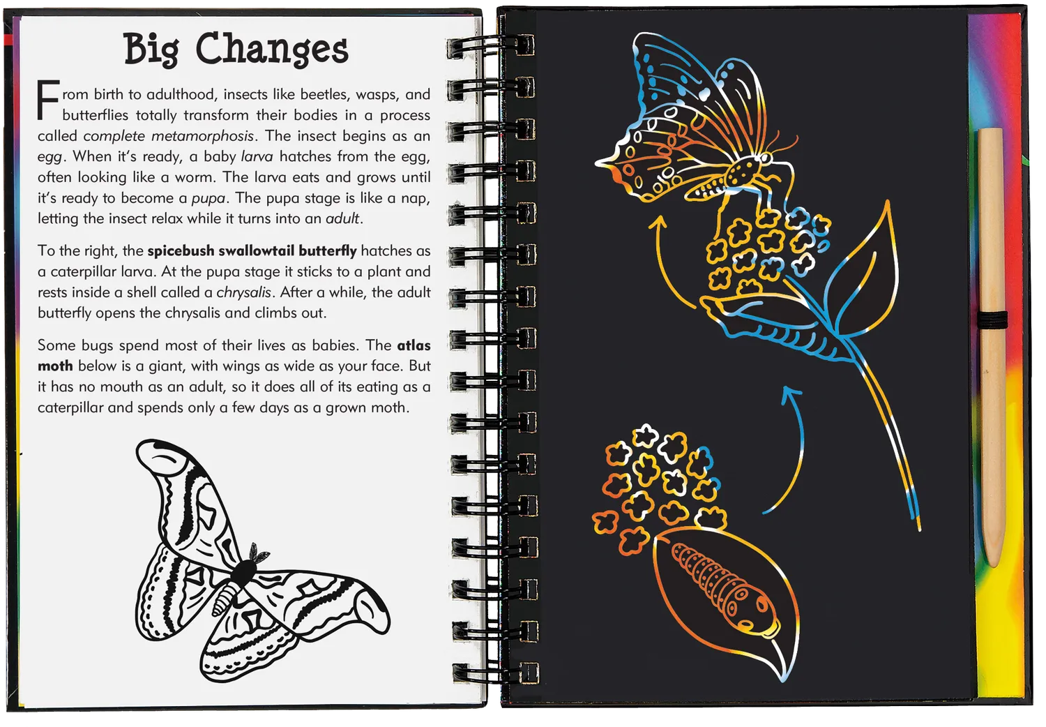 Scratch and Sketch Bugs! skrapebok insekter 64 sider
