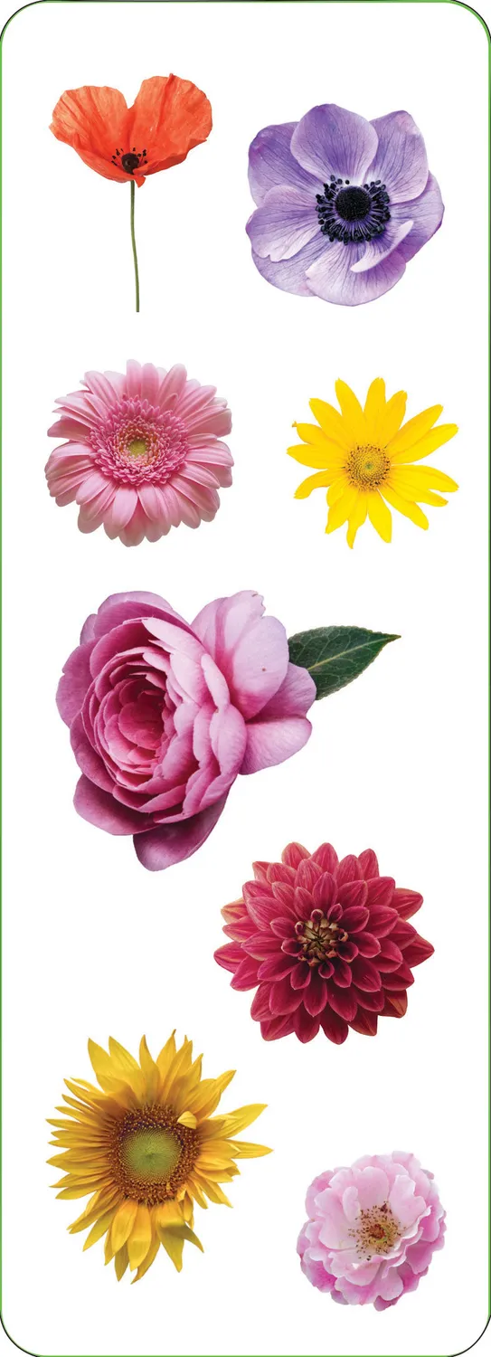Peter Pauper Press Flowers klistremerker 52-pk holografisk