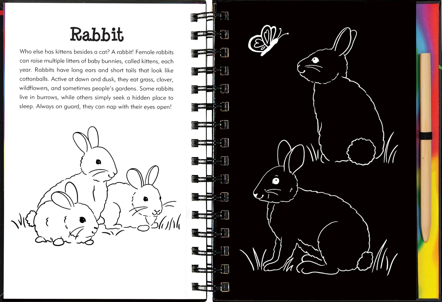 Peter Pauper Press Scratch and Sketch Forest Friends skrapebok skogdyr