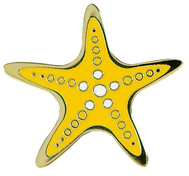 Peter Pauper Press Starfish emaljepin sjøstjerne gaveeske