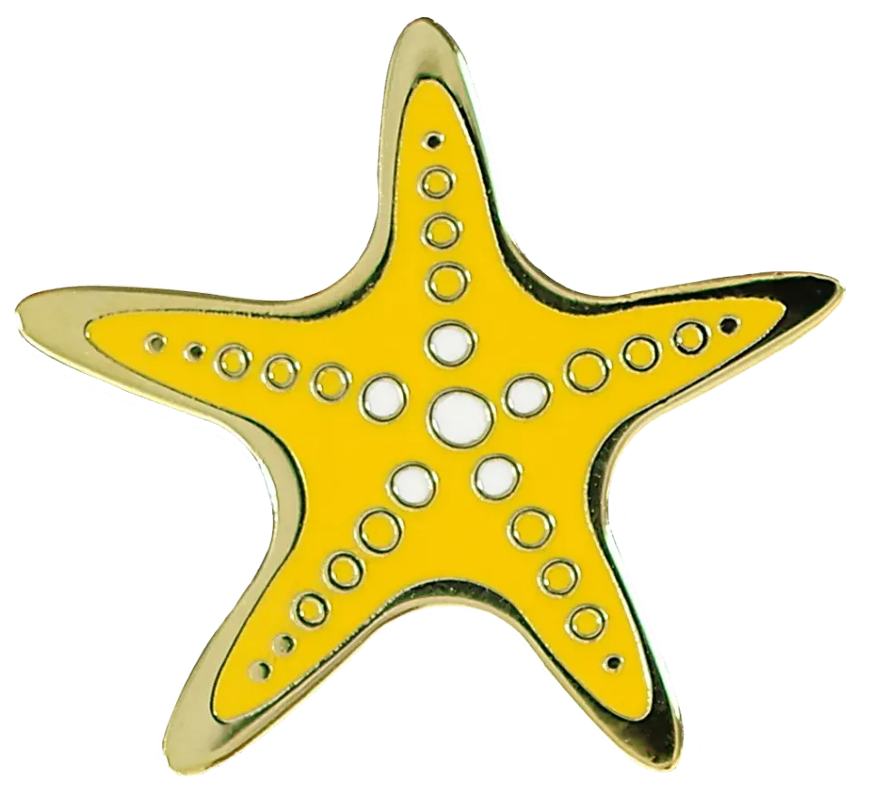 Peter Pauper Press Starfish emaljepin sjøstjerne gaveeske