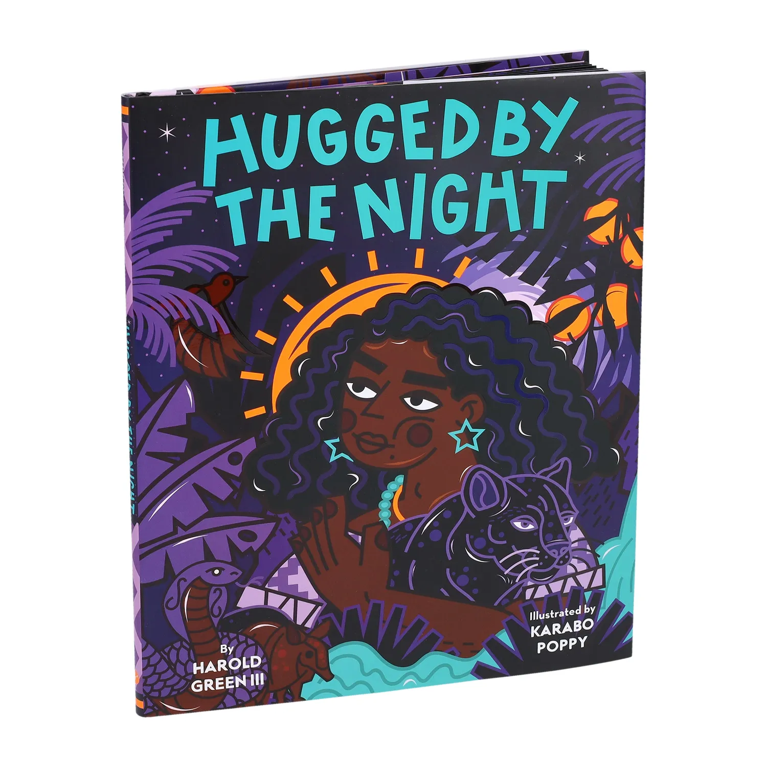 Chronicle Books Hugged by the Night bildebok innbundet natt