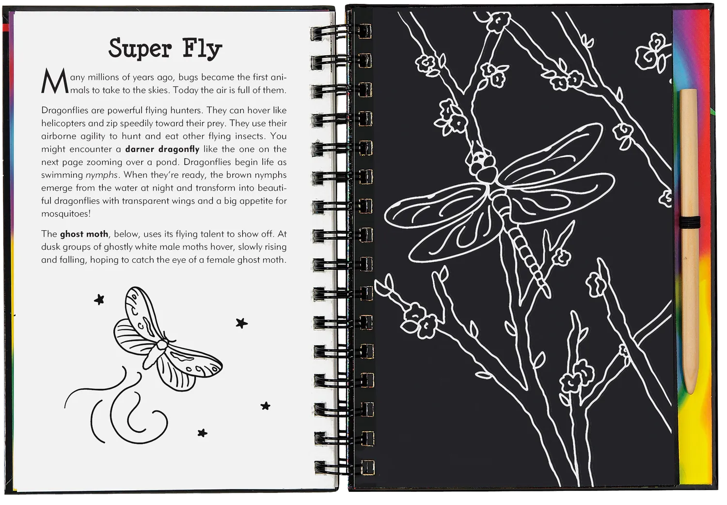 Scratch and Sketch Bugs! skrapebok insekter 64 sider