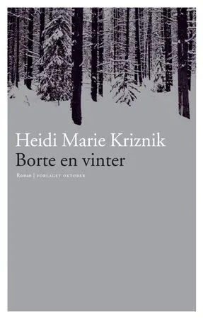 Bokia Borte en vinter innbundet bruktbok akseptabel roman