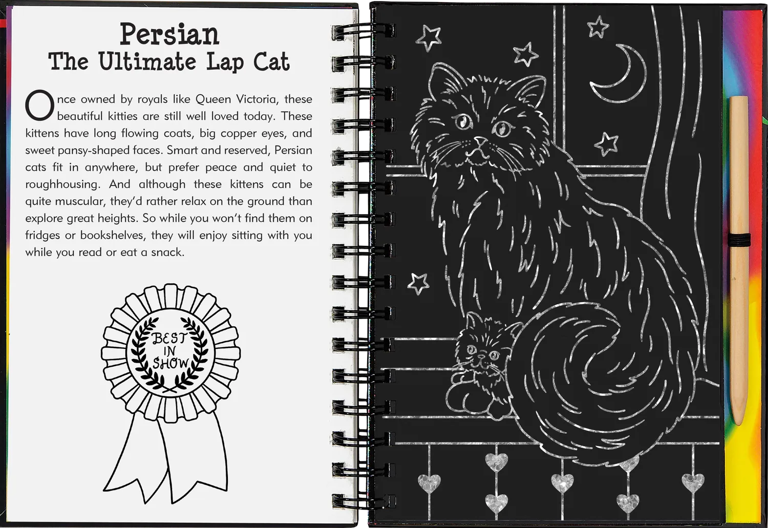 Peter Pauper Press Kittens skrapebok glitter 64 sider