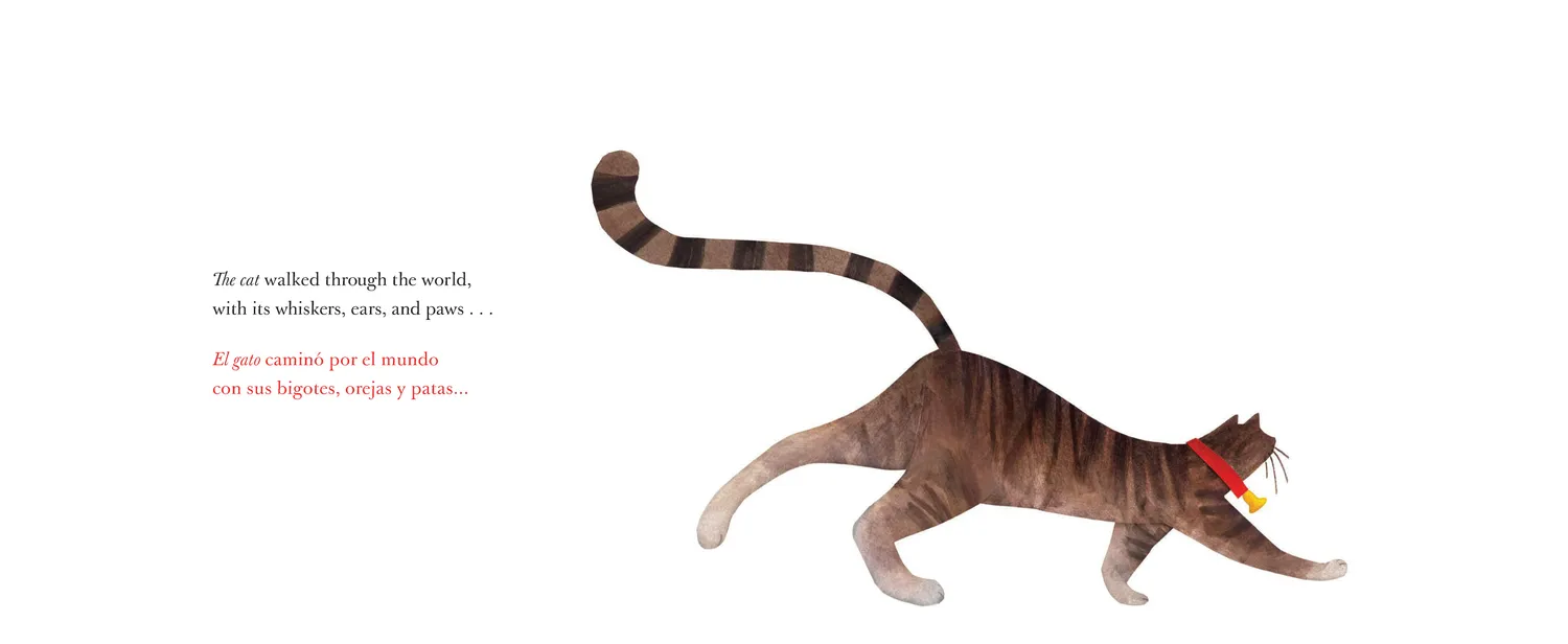 Abrams and Chronicle They All Saw a Cat bildebok innbundet