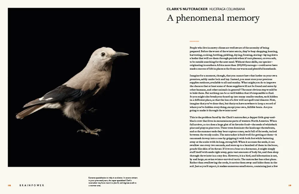 Abrams The Animal Mind innbundet sakprosabok dyreintelligens