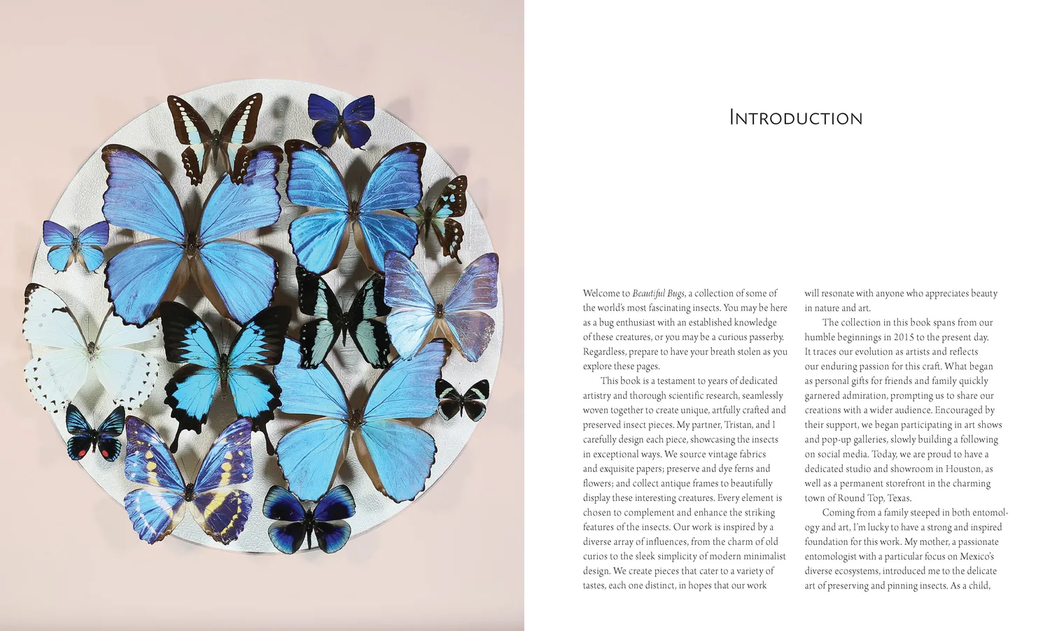 Abrams and Chronicle Beautiful Bugs innbundet faktabok insekter