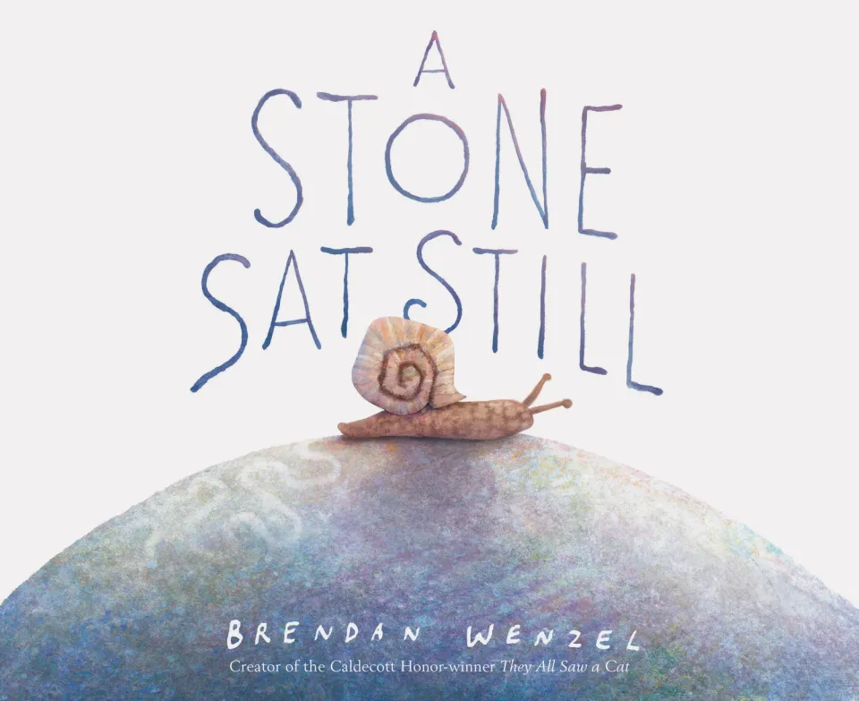 Chronicle Books A Stone Sat Still bildebok innbundet om natur