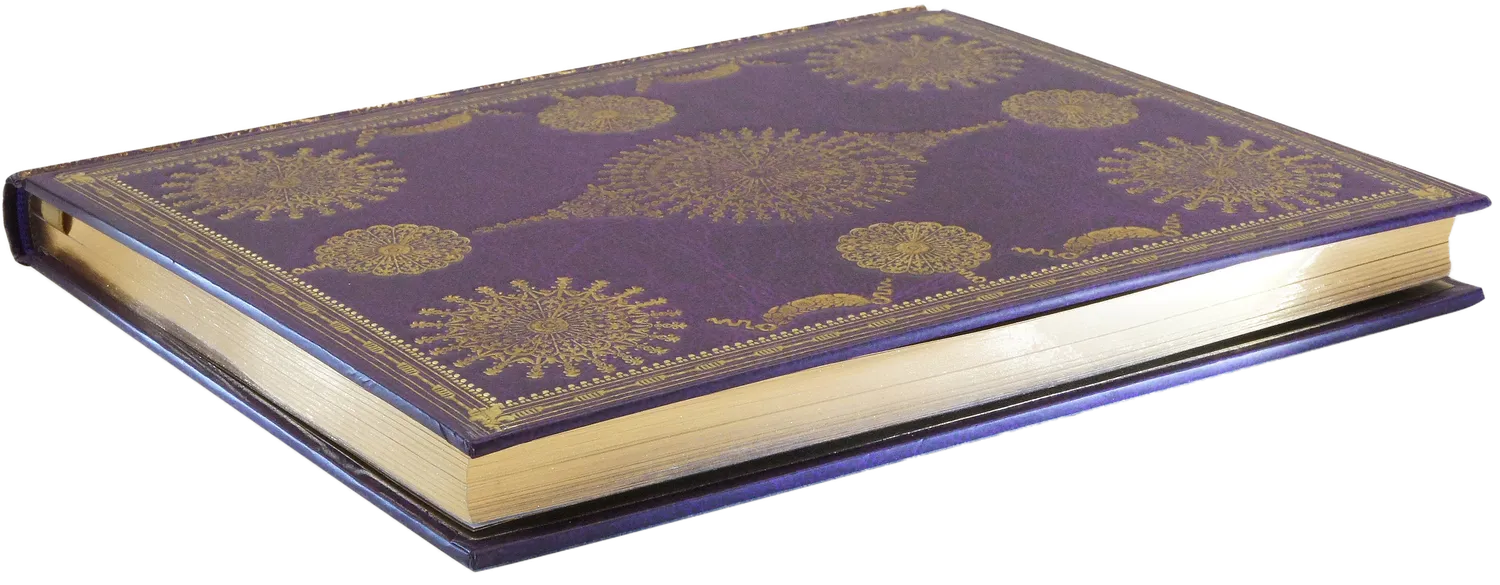Peter Pauper Press Versailles notatbok stor linjert
