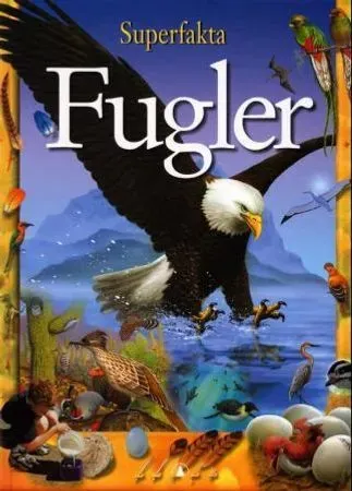 Bokia Fugler innbundet barnebok pent brukt junior