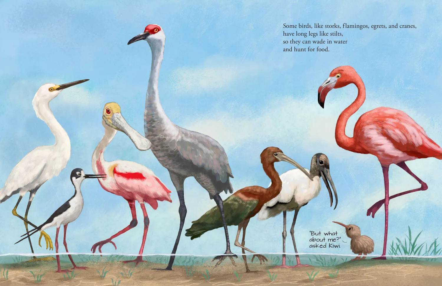 Peter Pauper Press All the Birds in the World bildebok innbundet 3-8 år