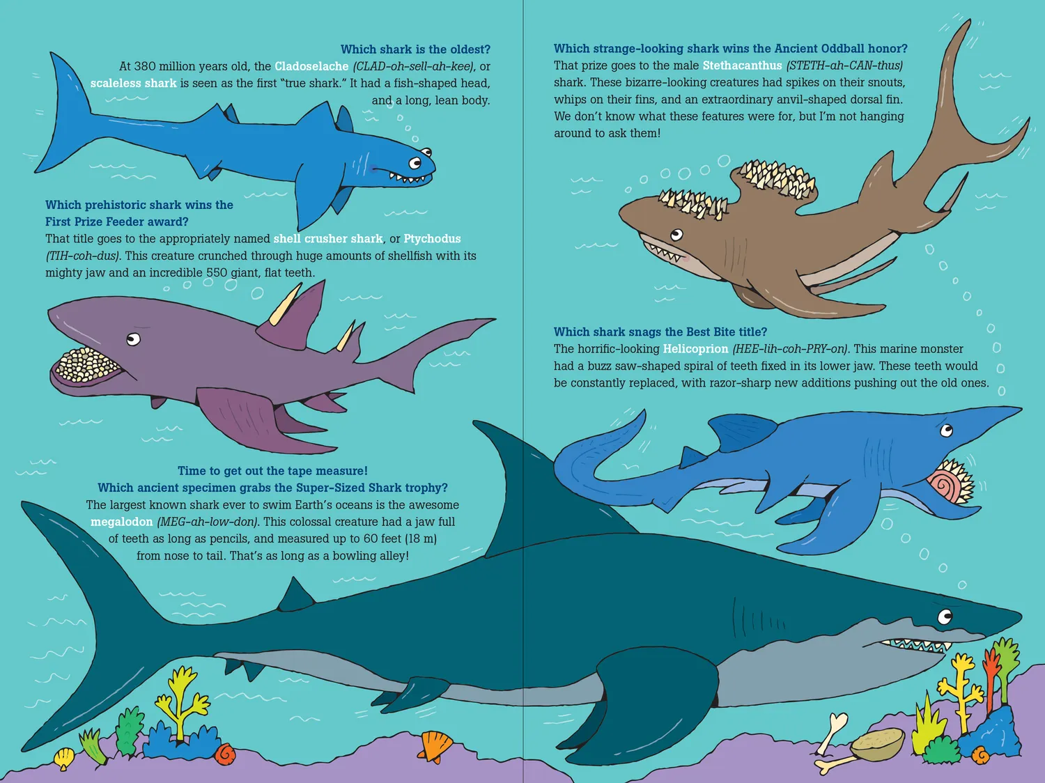 Peter Pauper Press 100 Questions about Sharks barnebok innbundet