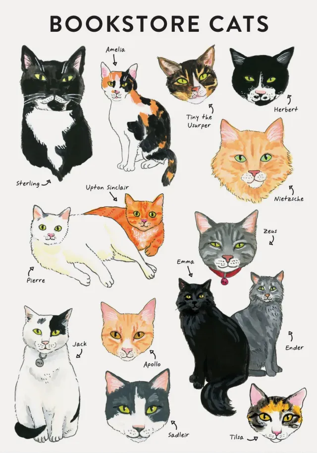 Chronicle Books Bibliophile Bookstore Cats notatbok flexi
