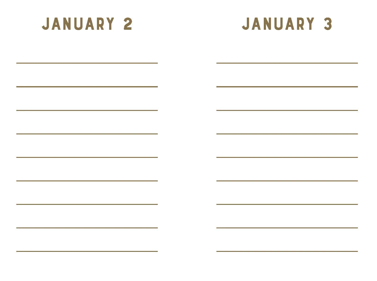 Abrams & Chronicle Books One Line a Day Rose Velvet minnebok