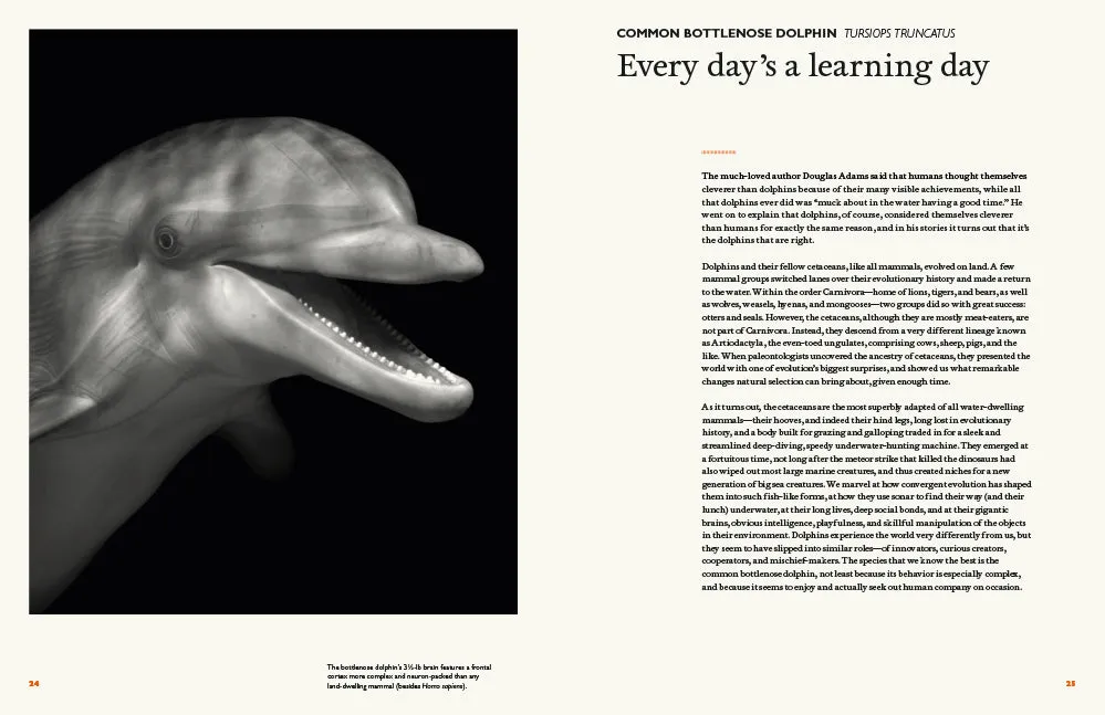 Abrams The Animal Mind innbundet sakprosabok dyreintelligens