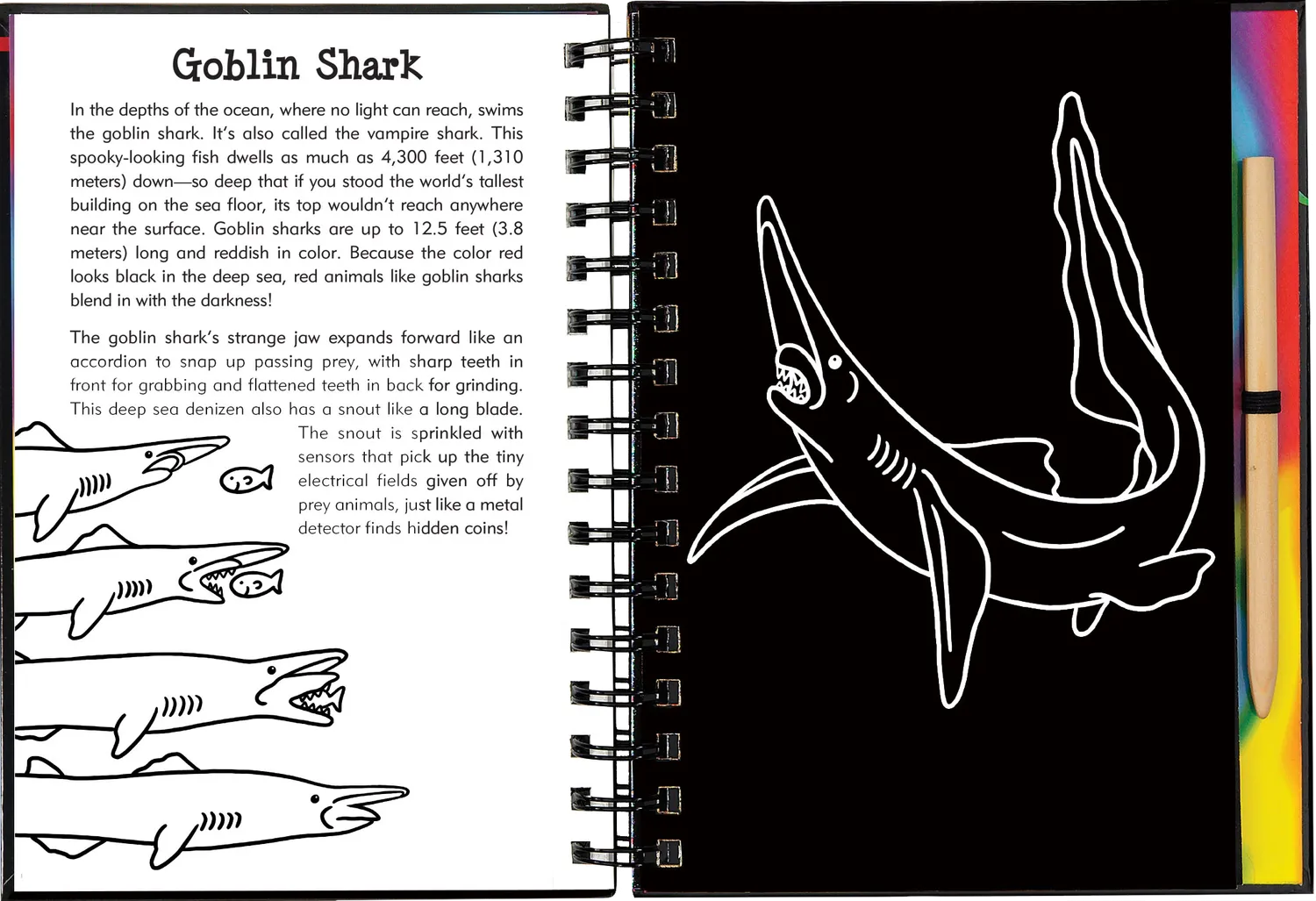 Peter Pauper Press Sharks Scratch and Sketch skrapebok