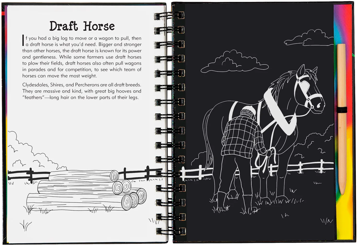 Peter Pauper Scratch and Sketch Horses skrapebok hester