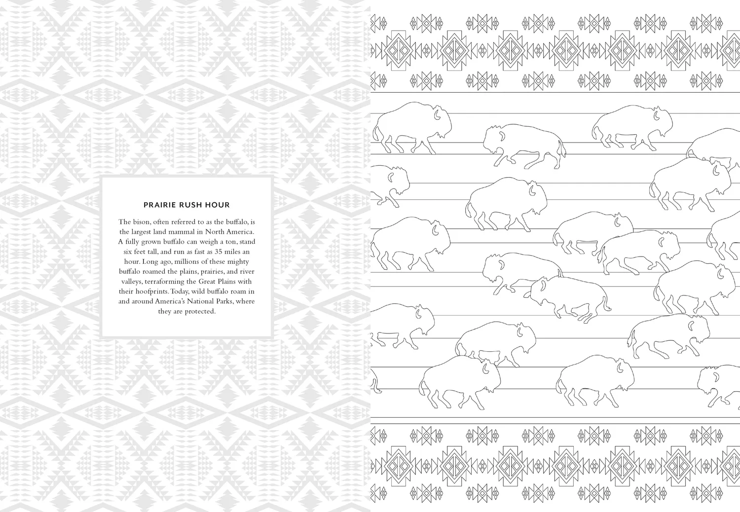 Chronicle Books Pendleton Coloring Book fargeleggingsbok