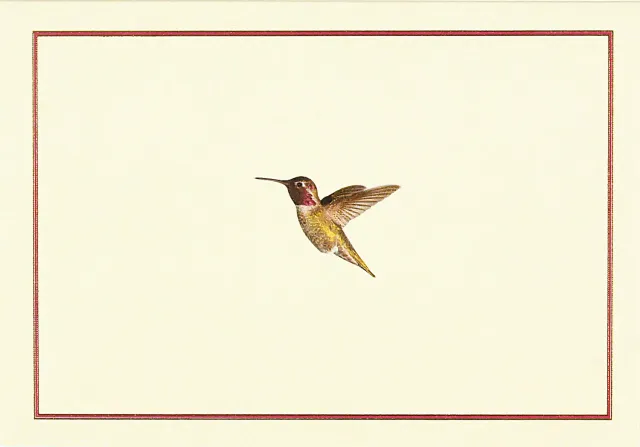 Peter Pauper Press Hummingbird Flight korteske 14 kort