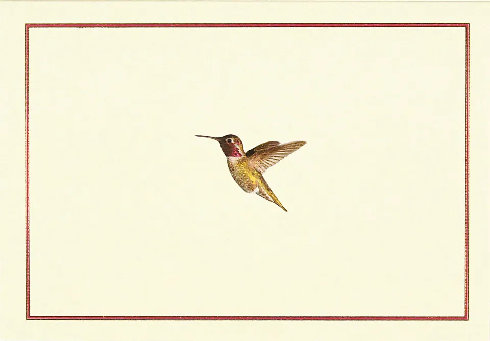 Peter Pauper Press Hummingbird Flight korteske 14 kort