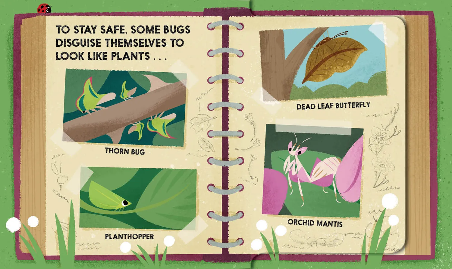 Abrams Block Book Bugblock pekebok om insekter