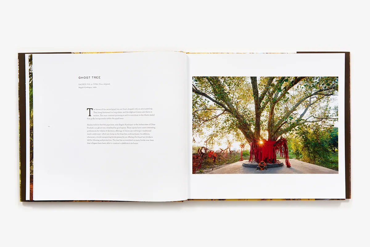 Abrams Wise Trees fotobok innbundet natur