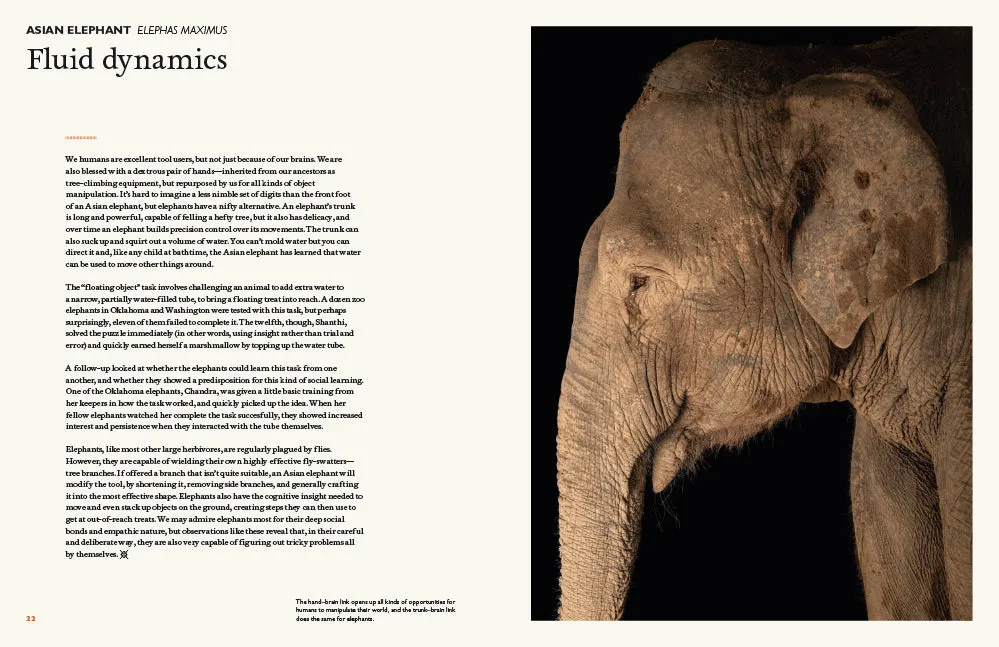 Abrams The Animal Mind innbundet sakprosabok dyreintelligens