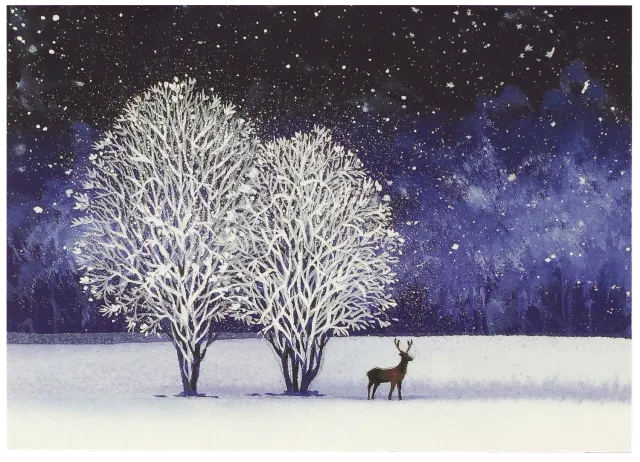 Peter Pauper Press Starry Night julekort 20 stk gullfolie