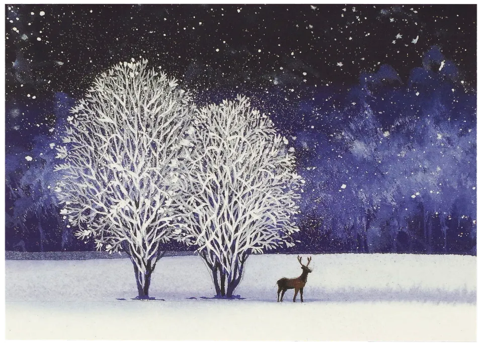 Peter Pauper Press Starry Night julekort 20 stk gullfolie