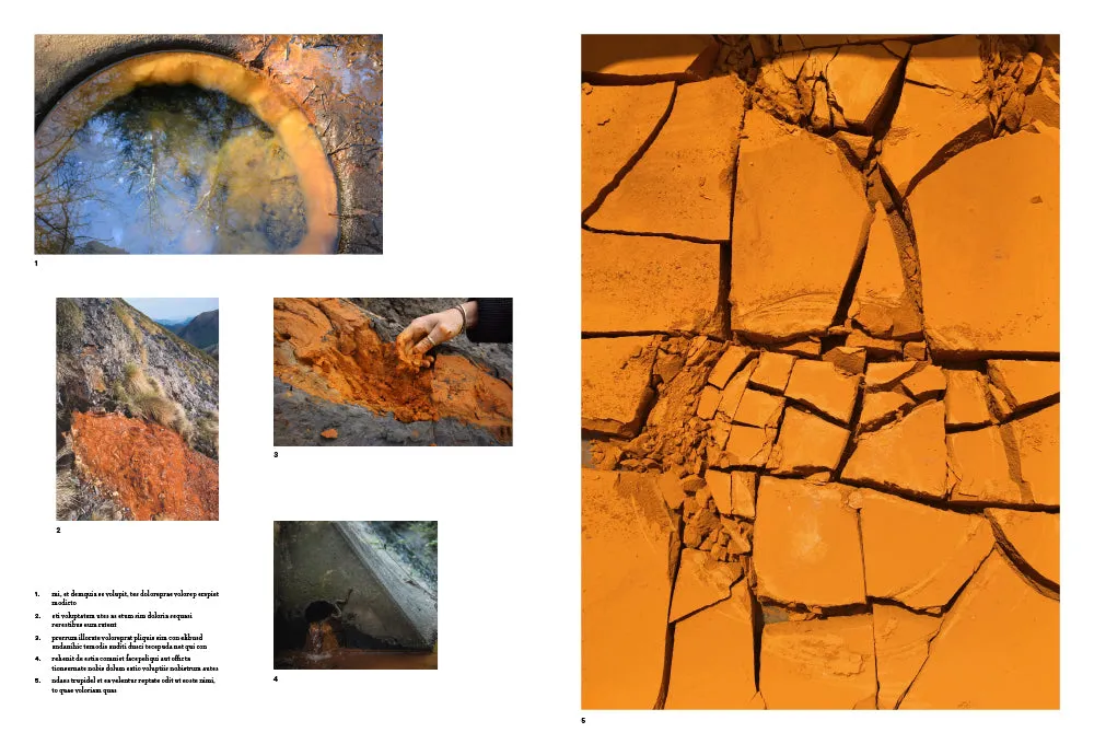 Abrams and Chronicle Book of Earth kunstbok innbundet oker
