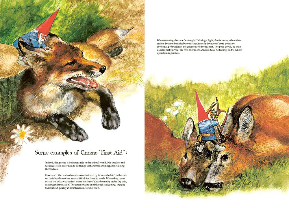 Abrams and Chronicle Gnomes innbundet bok illustrert klassiker