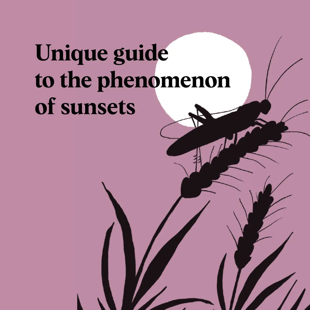 Chronicle Books Pocket Nature Sunset Seeking bok innbundet mindfulness