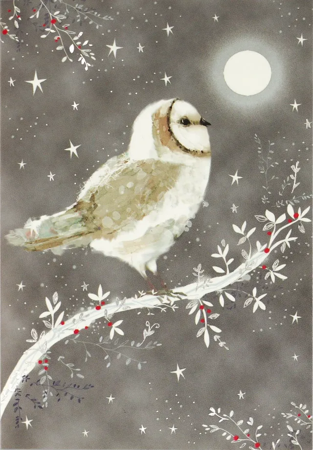 Peter Pauper Press Starry Night Owl julekort 20 stk sølvfolie