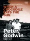 Peter Godwin When a Crocodile Eats the Sun bok brukt