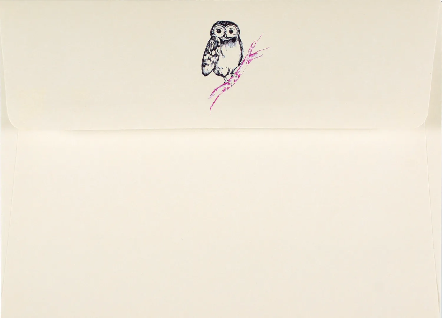 Peter Pauper Press Owl Portrait notatkort 14-pakn preget