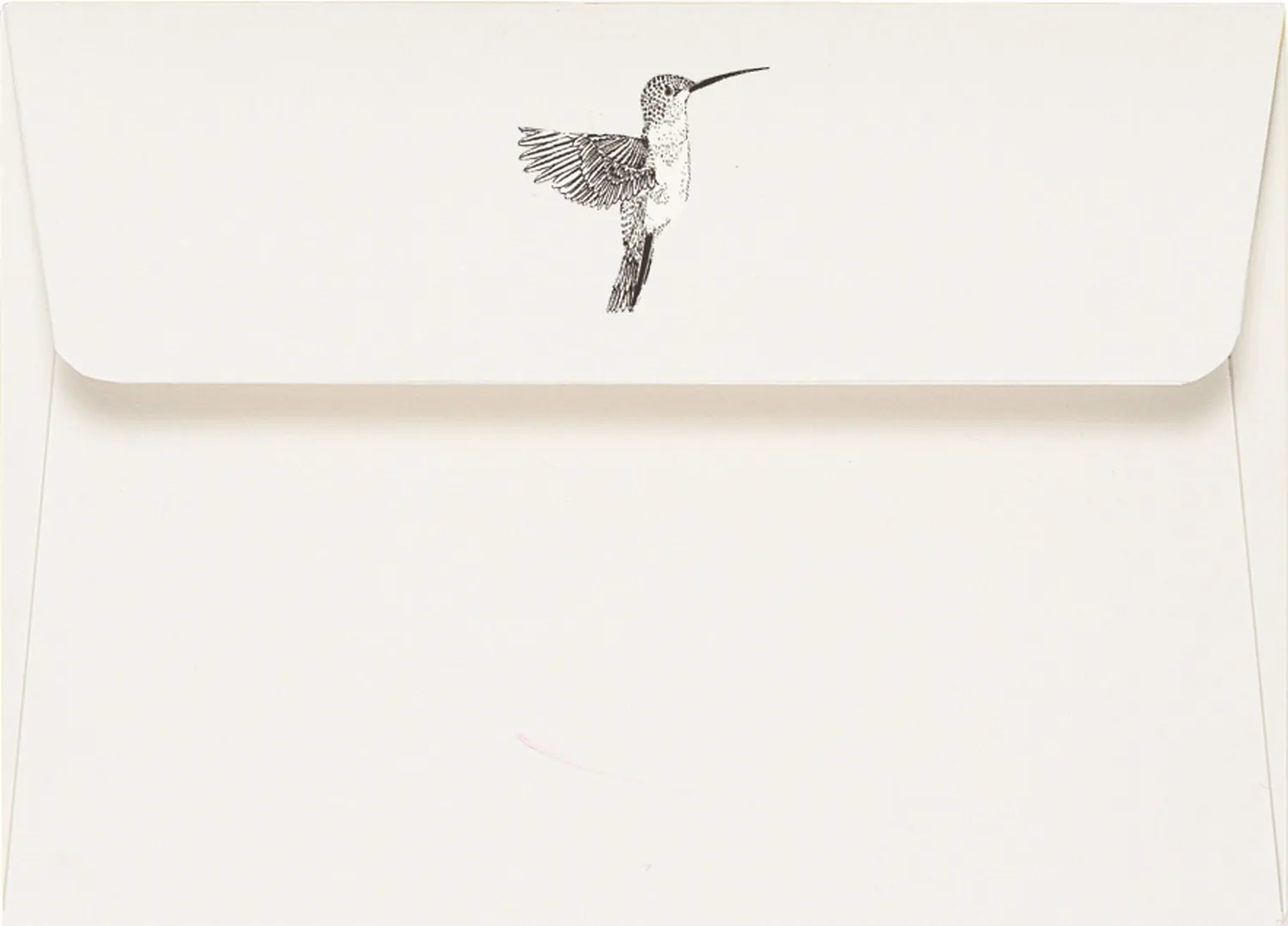 Peter Pauper Press Hummingbird notatkort 14-pak blanke lilla