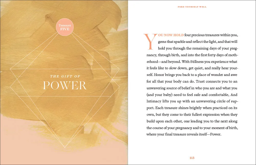 Abrams and Chronicle Nine Golden Months innbundet gravidbok