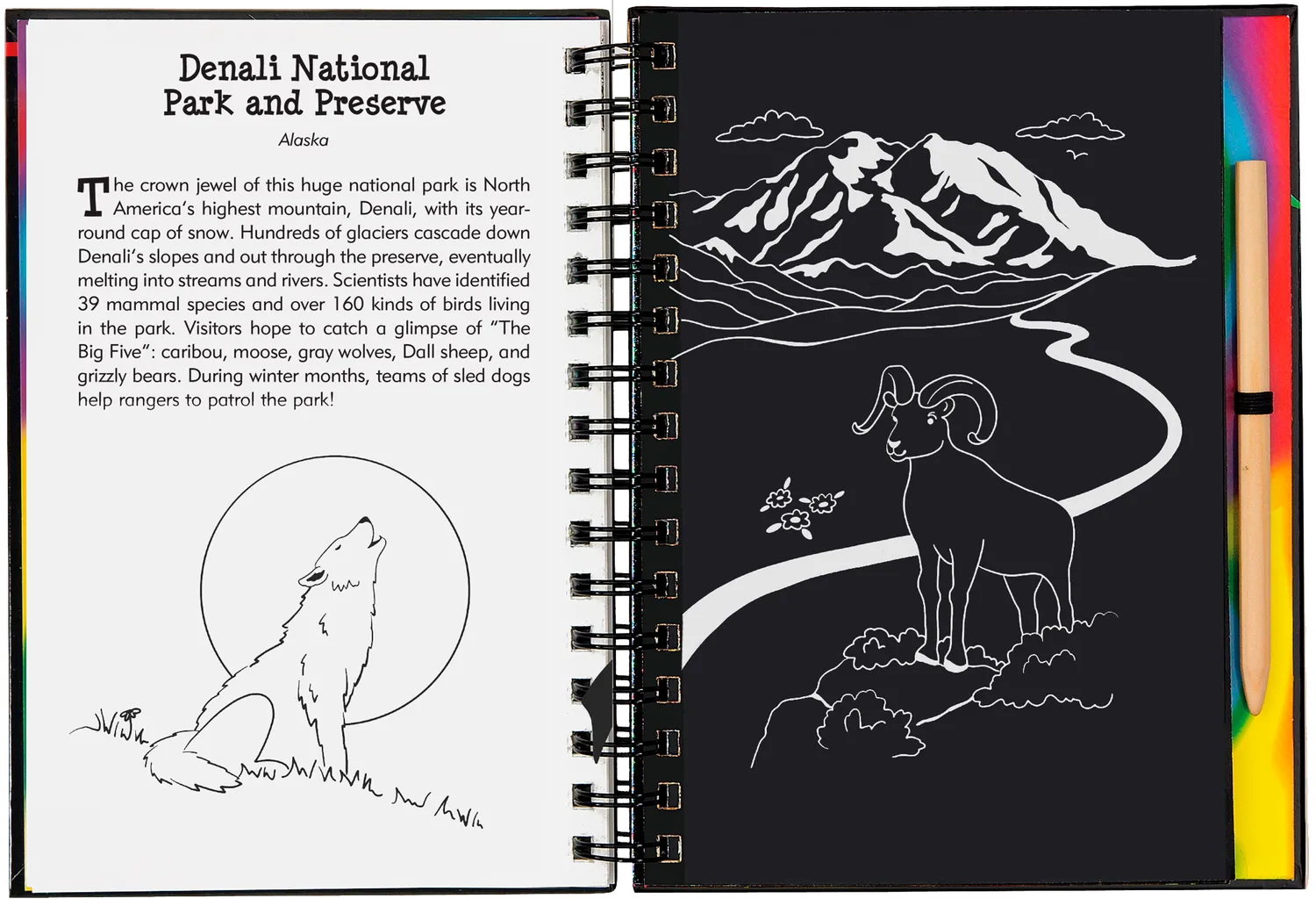Peter Pauper Press National Parks Scratch and Sketch skrapebok