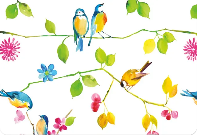 Peter Pauper Press Watercolor Birds kort 14 stk