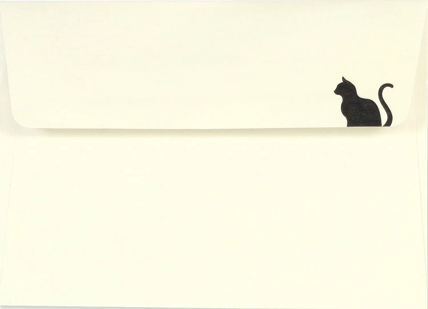Peter Pauper Press Black Cat notatkort 14 stk preget