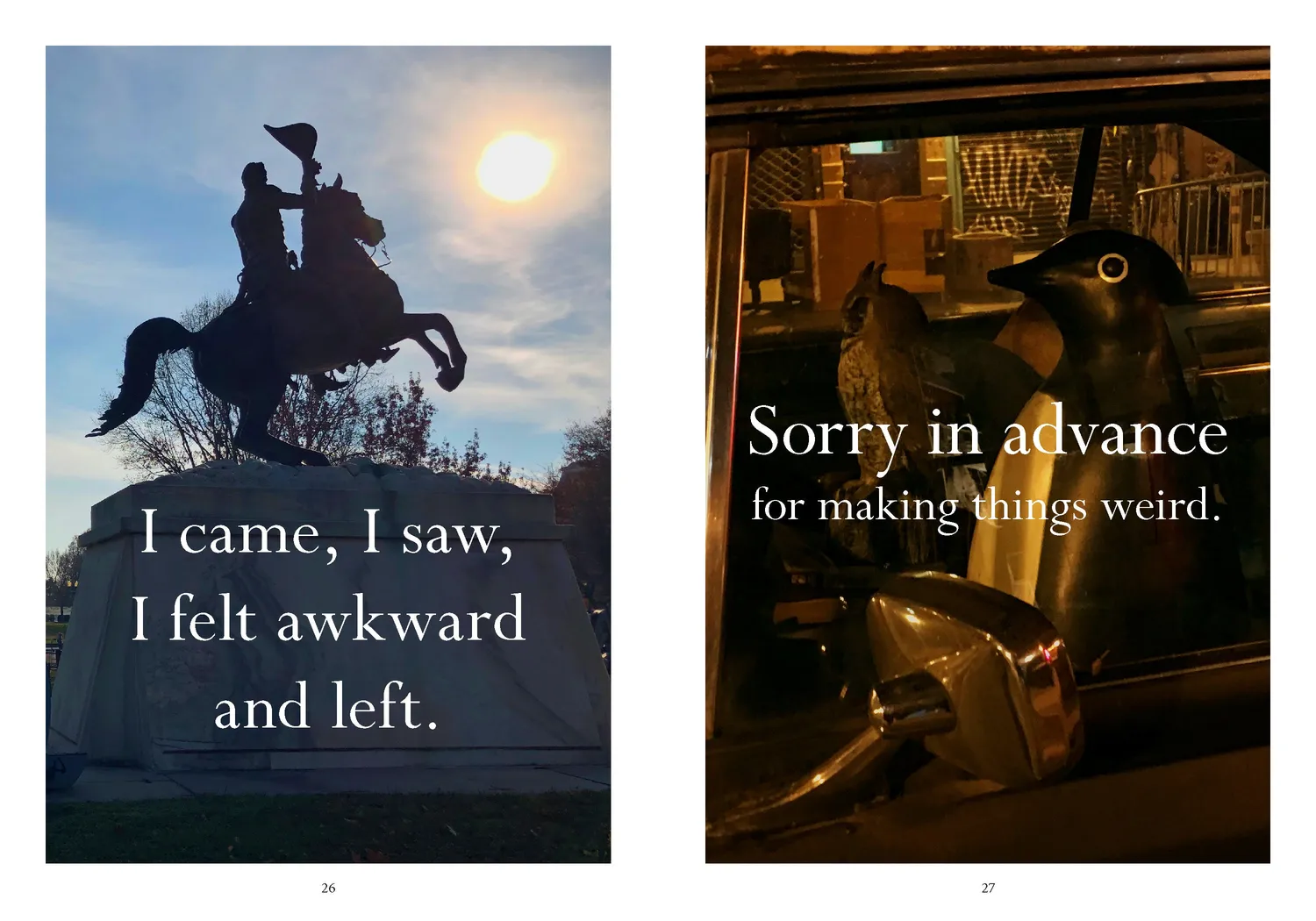 Disappointing Affirmations Sorry in advance humor innbundet
