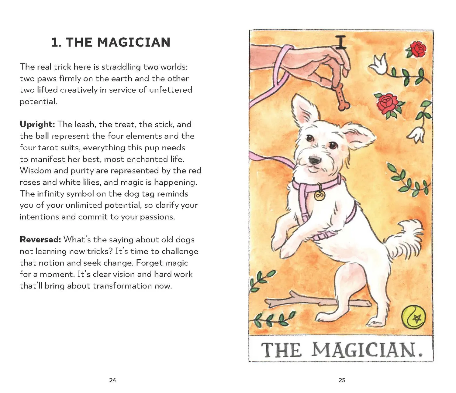 Chronicle Books Dog Tarot tarotkort – 78 kort med guidebok
