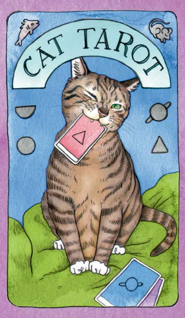 Abrams and Chronicle Cat Tarot tarotkort 78 kort katter