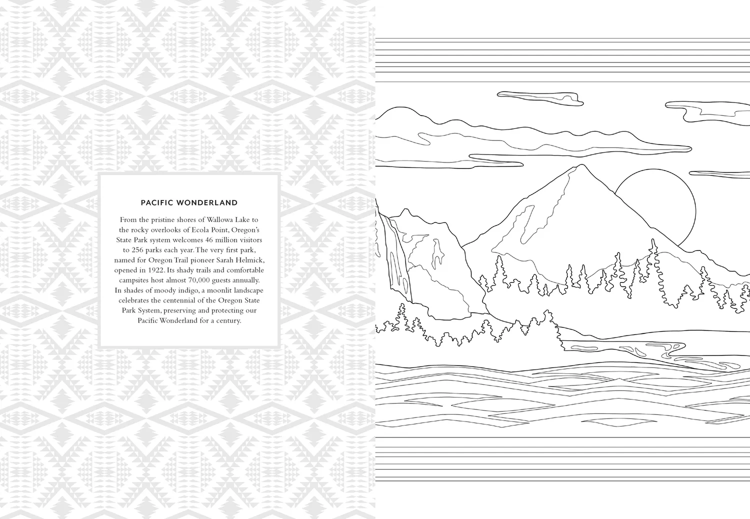 Chronicle Books Pendleton Coloring Book fargeleggingsbok