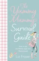 Bokia Yummy Mummy's Survival Guide bok engelsk brukt
