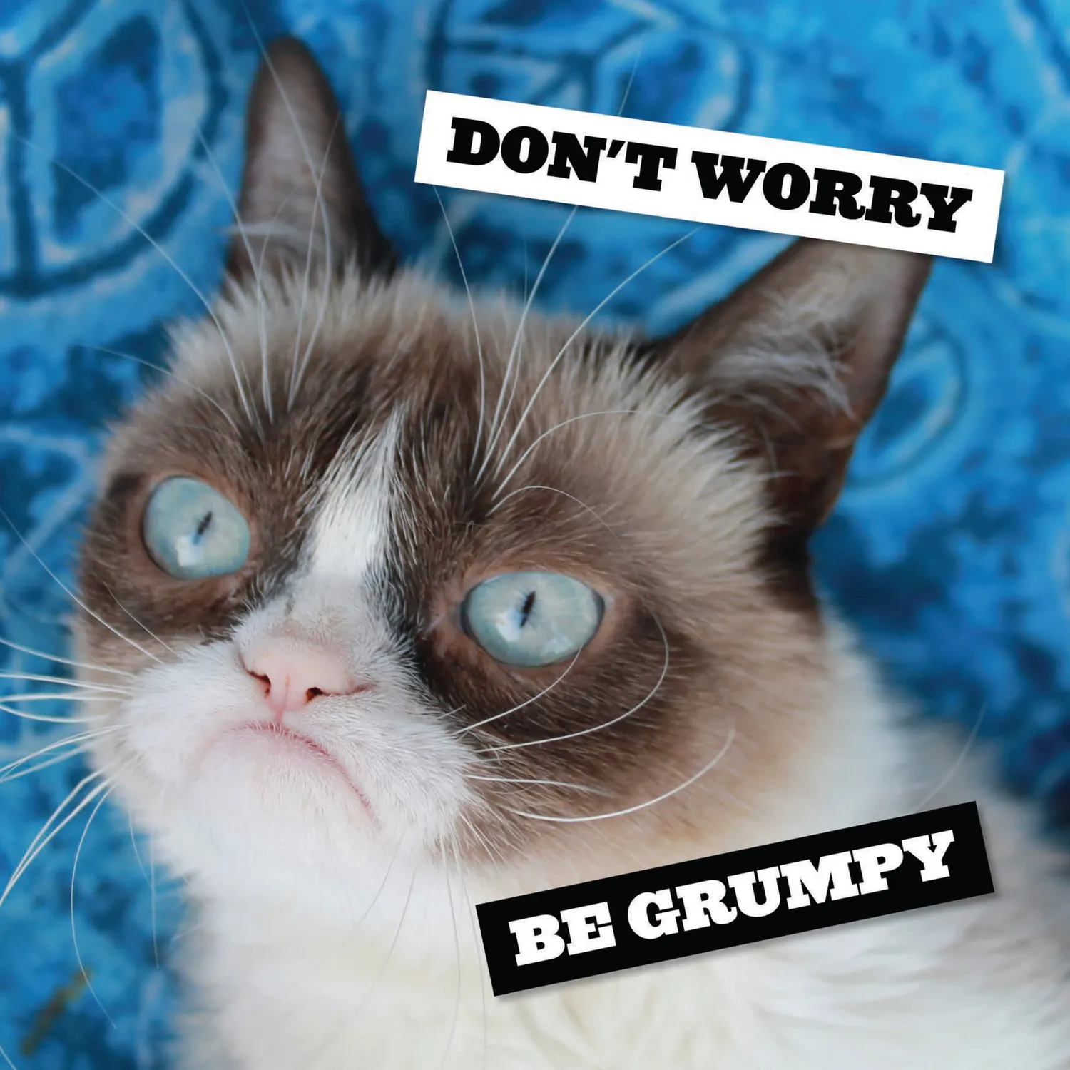 Grumpy Cat 2027 veggkalender 12x12 gave